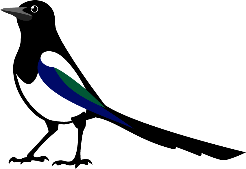 image of bird with blue,black, and green feathers